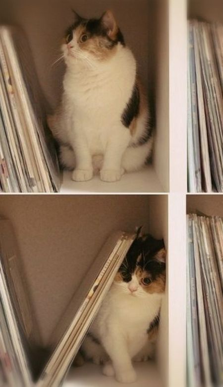 Acid Picdump (129 pics)