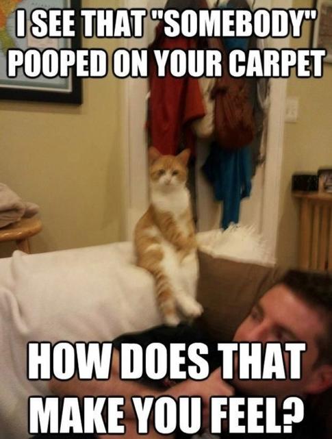 Acid Picdump (129 pics)