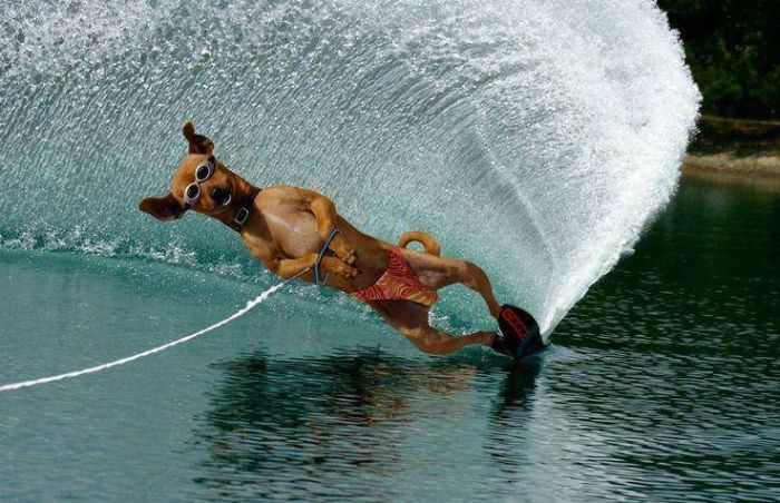 Acid Picdump (129 pics)