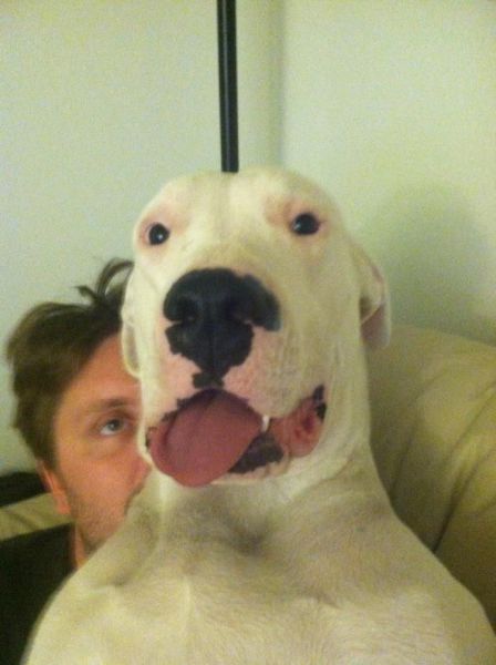 Acid Picdump (129 pics)