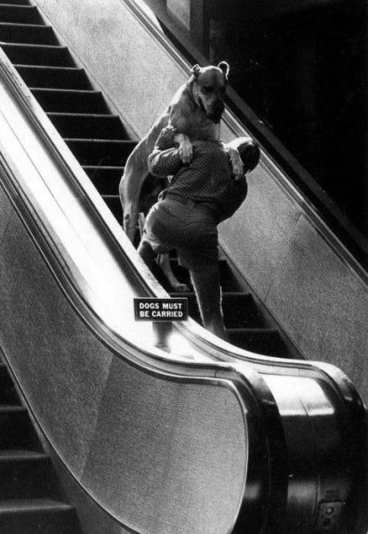 Acid Picdump (129 pics)