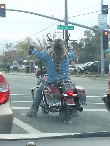 Acid Picdump (129 pics)
