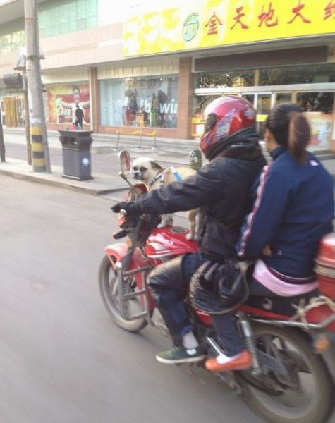 Acid Picdump (129 pics)