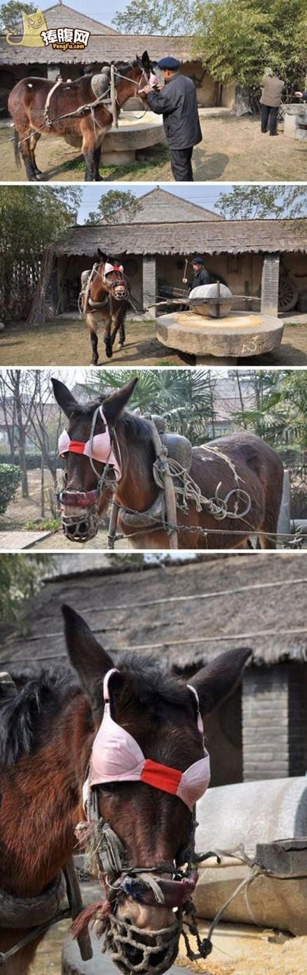 Acid Picdump (129 pics)