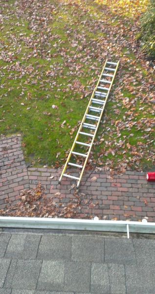 Acid Picdump (129 pics)