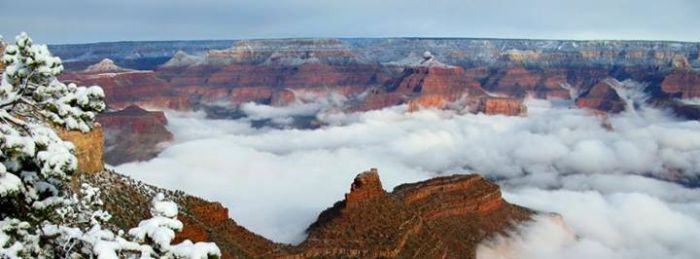 Fog in Grand Canyon (22 pics)