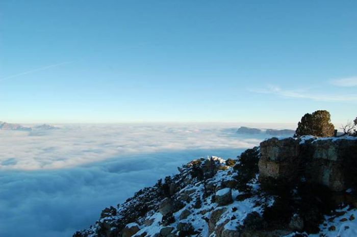 Fog in Grand Canyon (22 pics)