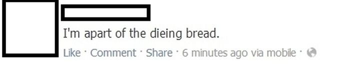The Dumbest Things of 2013 (36 pics)