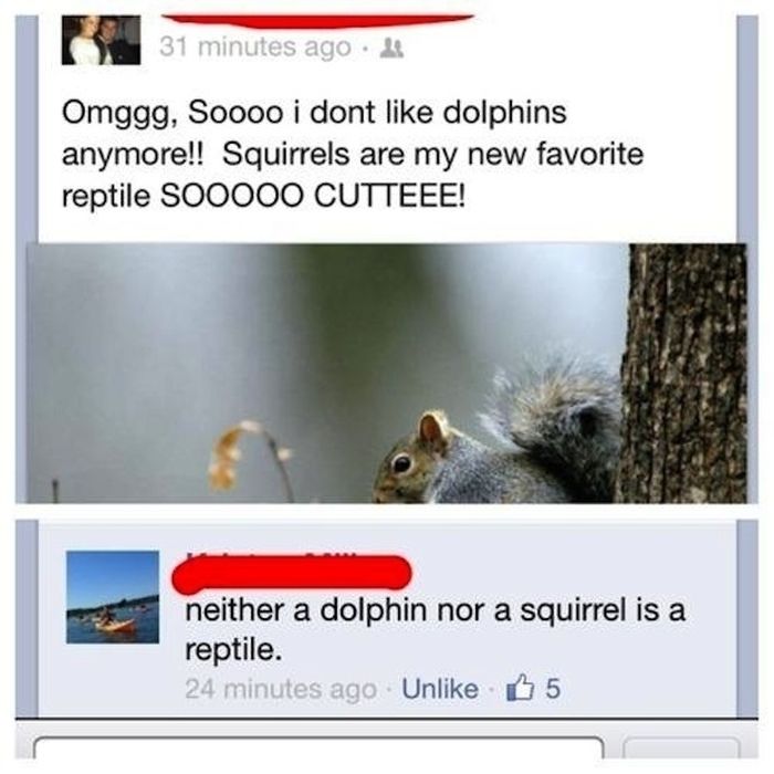 The Dumbest Things of 2013 (36 pics)