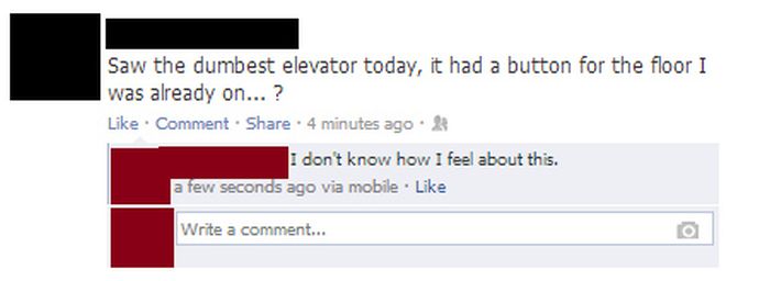 The Dumbest Things of 2013 (36 pics)