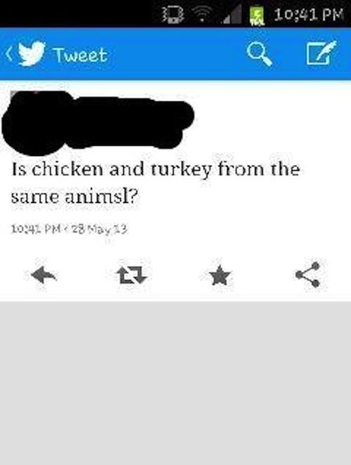The Dumbest Things of 2013 (36 pics)