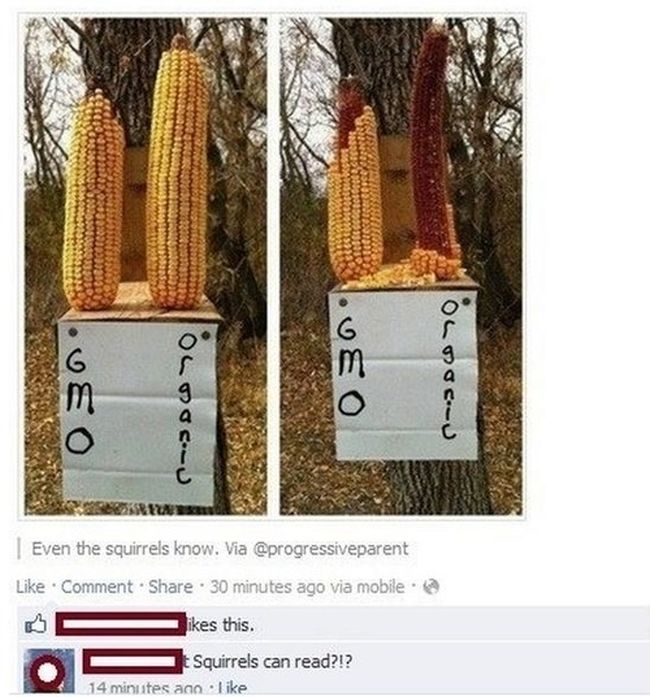 The Dumbest Things of 2013 (36 pics)