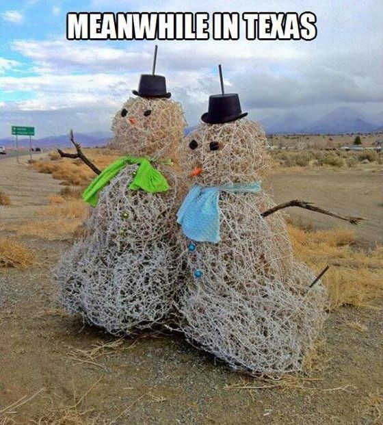 Only in Texas (23 pics)