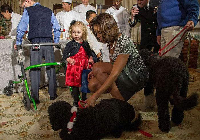 Obama's Dog Sunny Knocked Over a Little Girl (7 pics)