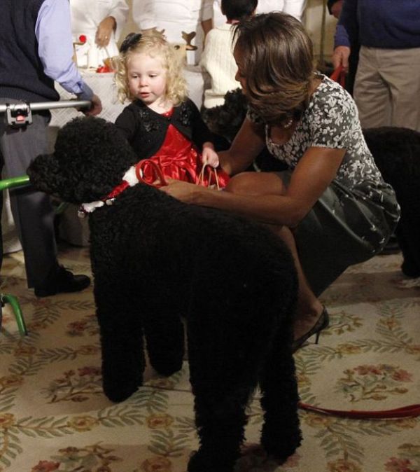 Obama's Dog Sunny Knocked Over a Little Girl (7 pics)