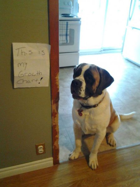 Acid Picdump (133 pics)