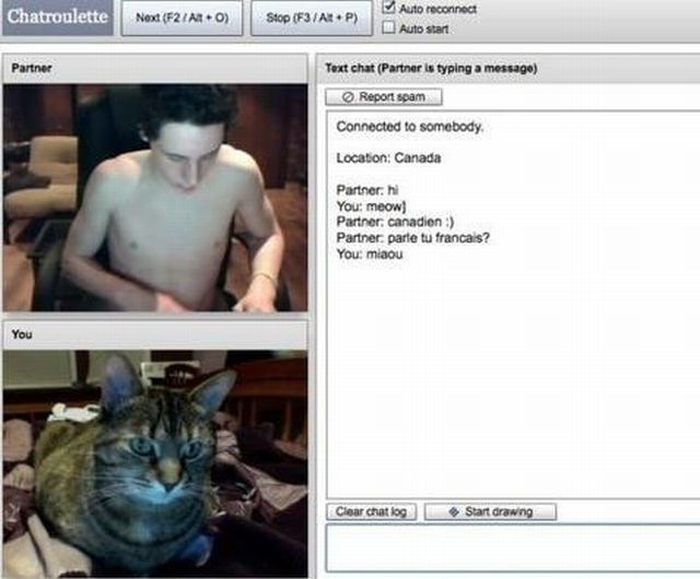 Acid Picdump (133 pics)