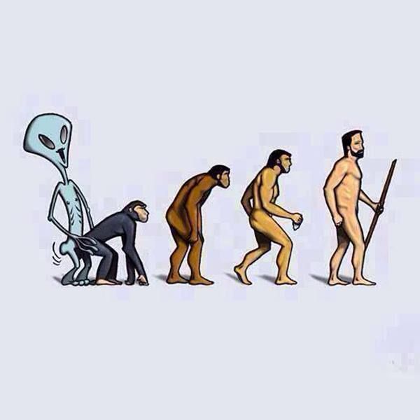 Acid Picdump (133 pics)