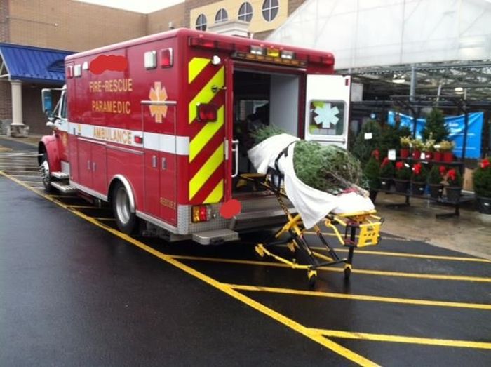 Acid Picdump (133 pics)