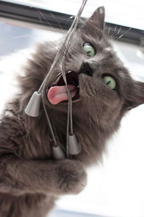 Acid Picdump (133 pics)