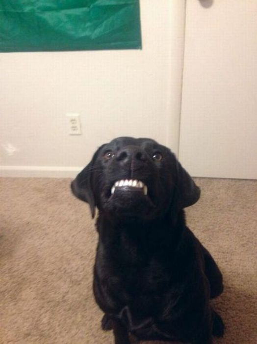 Acid Picdump (133 pics)