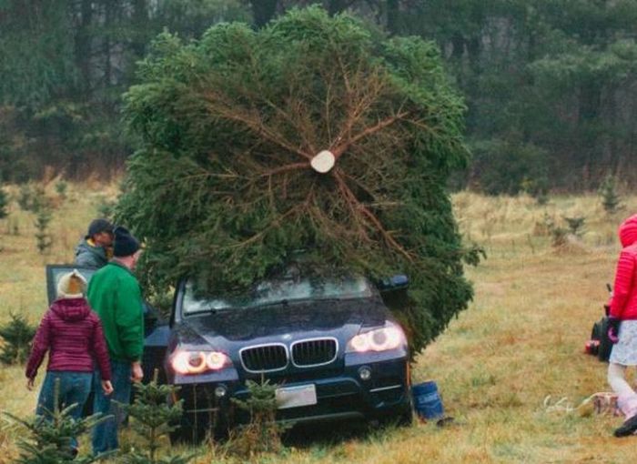 Acid Picdump (133 pics)