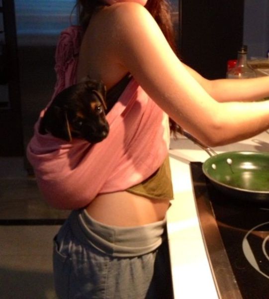 Acid Picdump (133 pics)