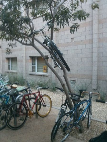 Acid Picdump (133 pics)