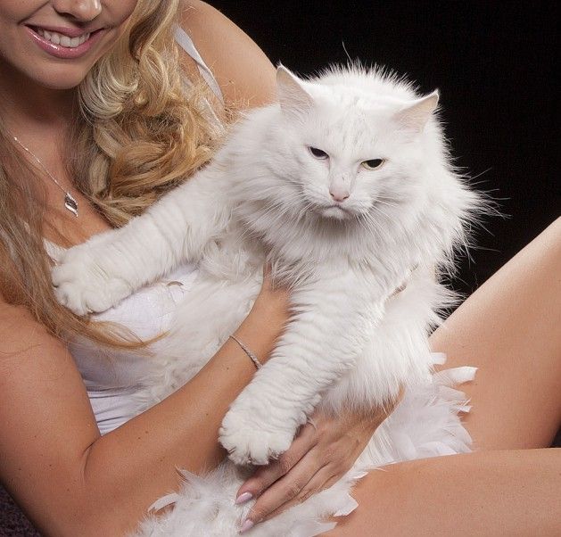 Acid Picdump (133 pics)