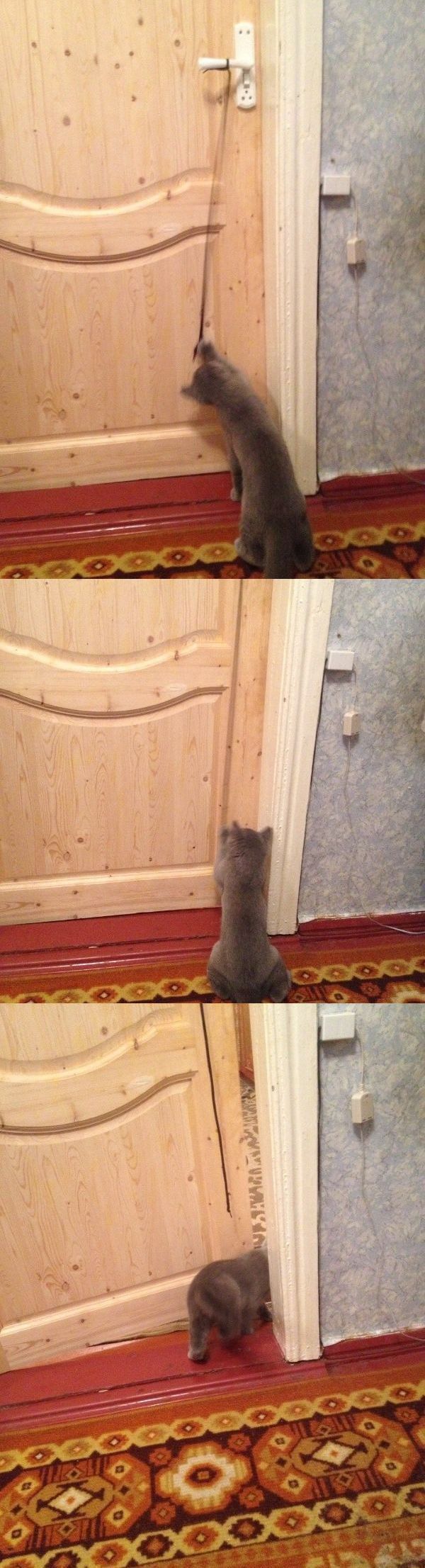 Acid Picdump (133 pics)