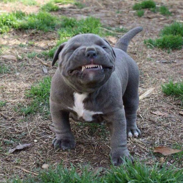 Acid Picdump (133 pics)