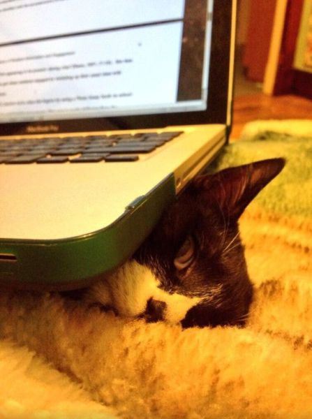 Acid Picdump (133 pics)