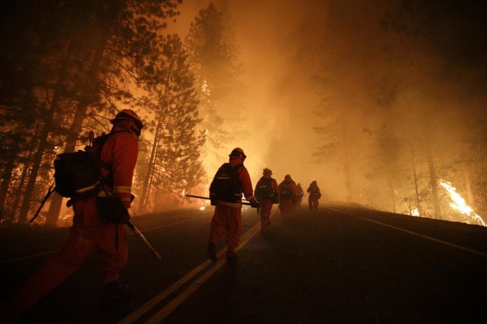 The Most Powerful Photos Of 2013 (45 pics)
