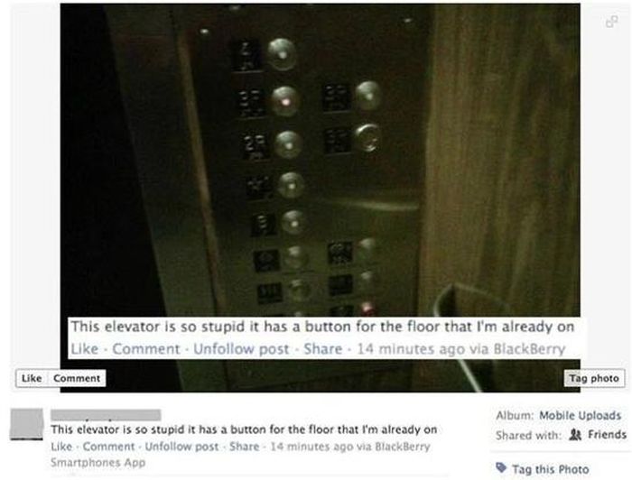 It's All About Stupidity (38 pics)