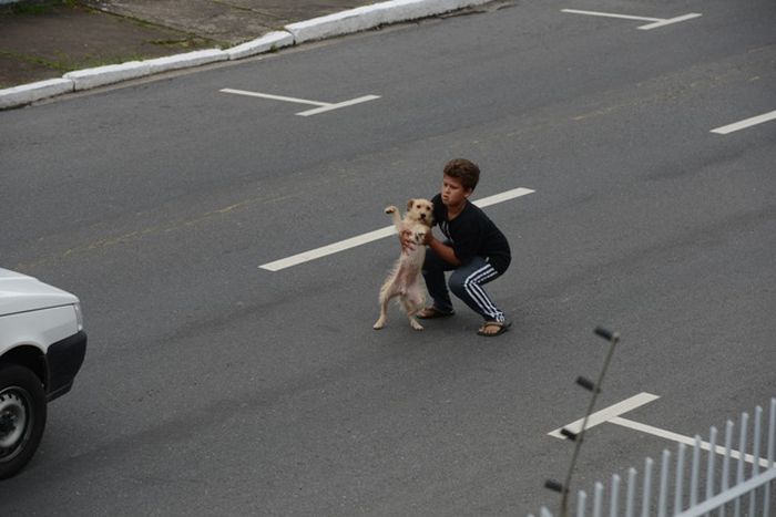 Boy Is Trying to Rescue a Dog (3 pics)