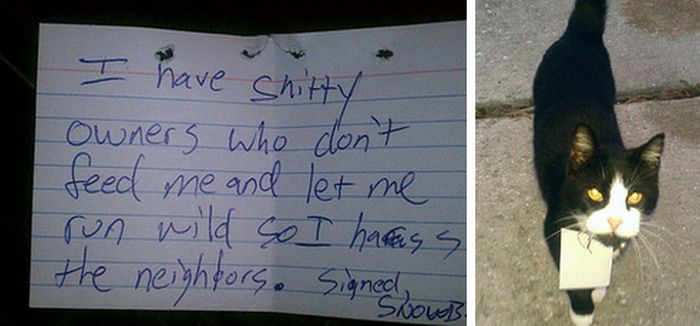 Hilarious Passive-Aggressive Notes (25 pics)