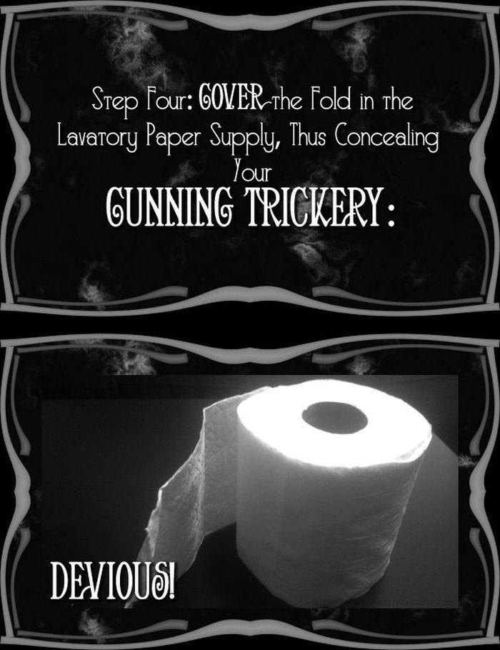 Toilet Paper Prank (11 pics)