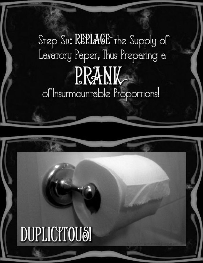 Toilet Paper Prank (11 pics)