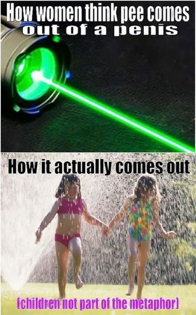 WTF Pictures. Part 15 (36 pics)