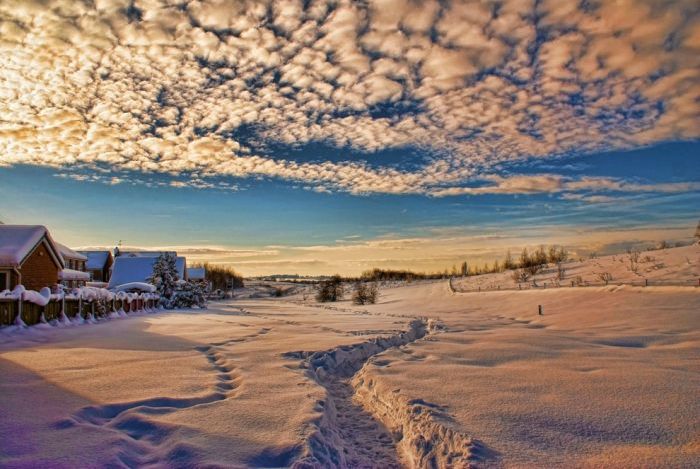 Beautiful Winter (40 pics)