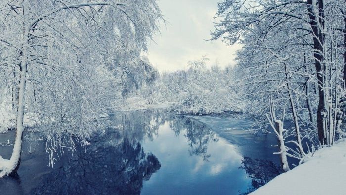 Beautiful Winter (40 pics)