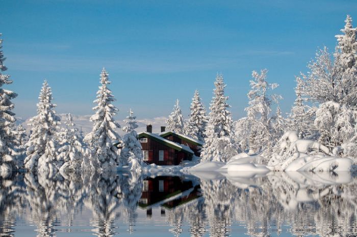 Beautiful Winter (40 pics)