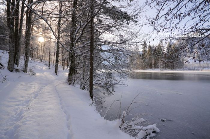 Beautiful Winter (40 pics)