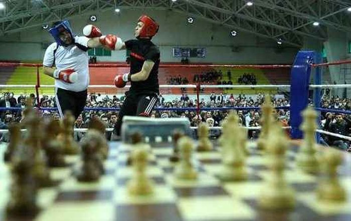 Chessboxing (22 pics)