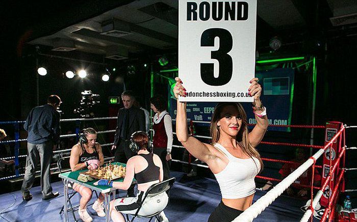 Chessboxing (22 pics)