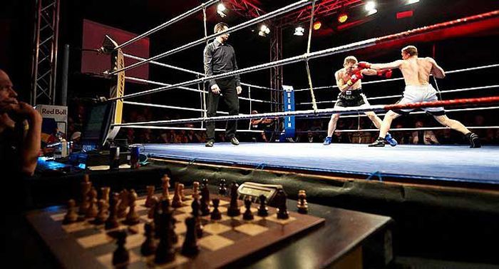 Chessboxing (22 pics)