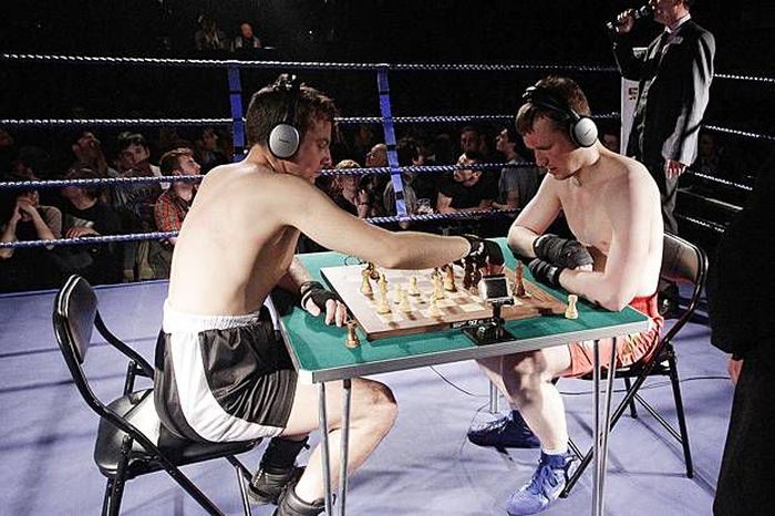 Chessboxing (22 pics)