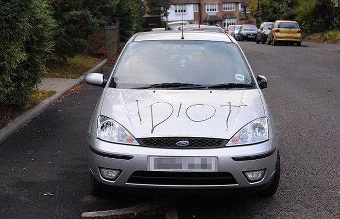 Acid Picdump (149 pics)