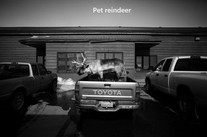 Acid Picdump (149 pics)