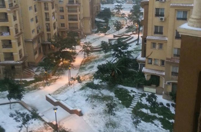 Snow in Egypt (27 pics)